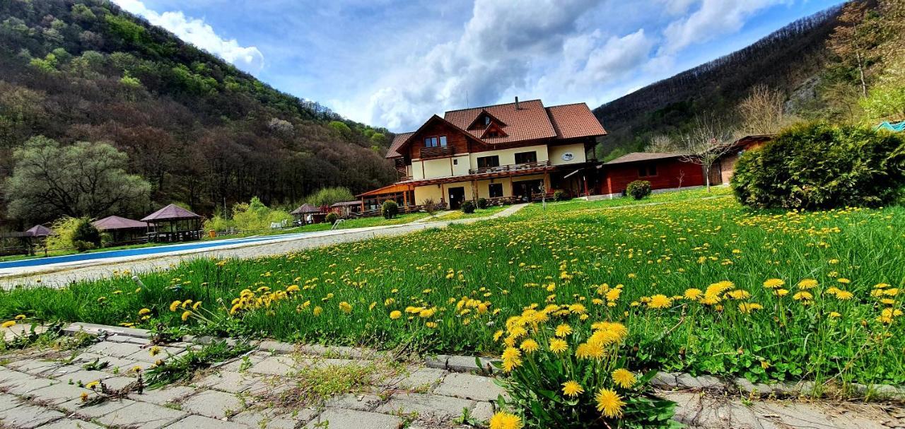 Hotel Pensiunea Casiana Ciulpăz Exterior foto