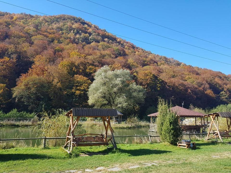 Hotel Pensiunea Casiana Ciulpăz Exterior foto